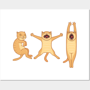 3 steps of stretching the cat Posters and Art